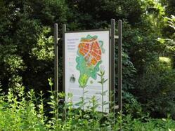 Stadtpark Wegeschild Stadtpark Wegeschild